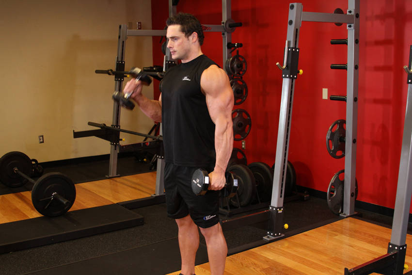 Alternate Hammer Curl, start position
