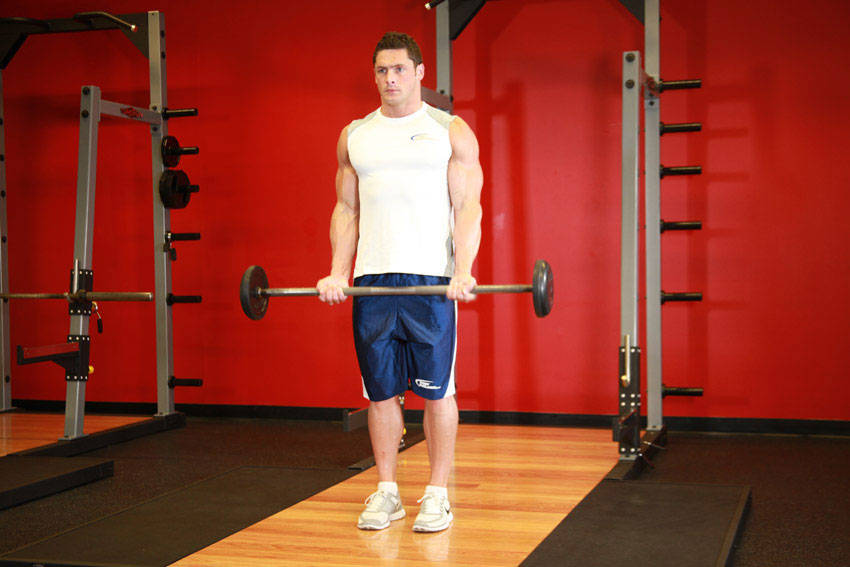 Barbell Curl, start position