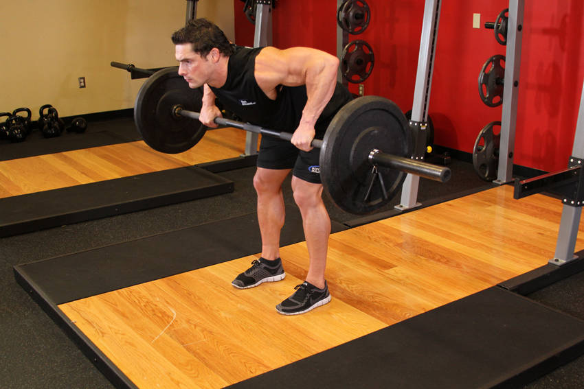 Barbell Rear Delt Row, end position