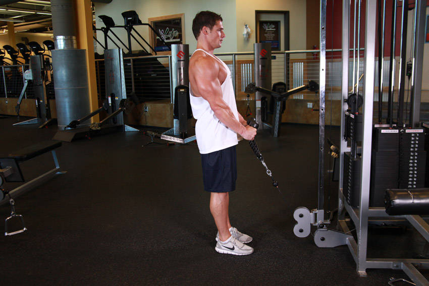 Cable Hammer Curls - Rope Attachment, start position