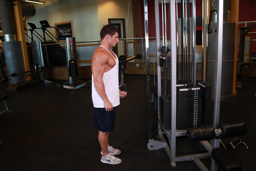 Cable One Arm Tricep Extension, start position