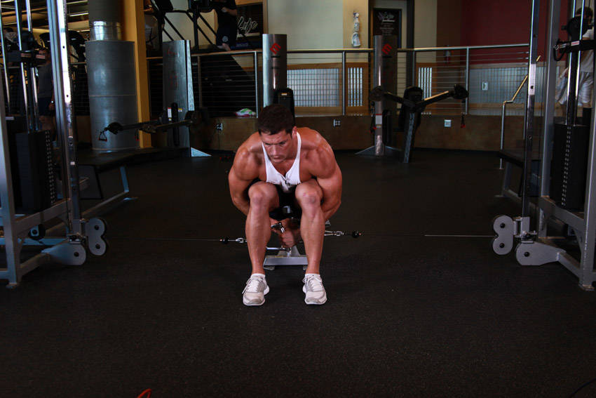 Cable Seated Lateral Raise, start position