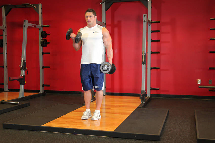 Dumbbell Alternate Bicep Curl, start position