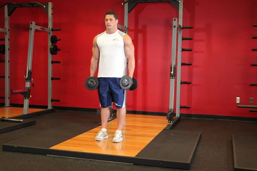 Dumbbell Bicep Curl, start position