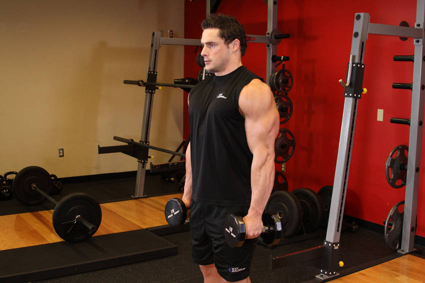 Dumbbell Raise, start position