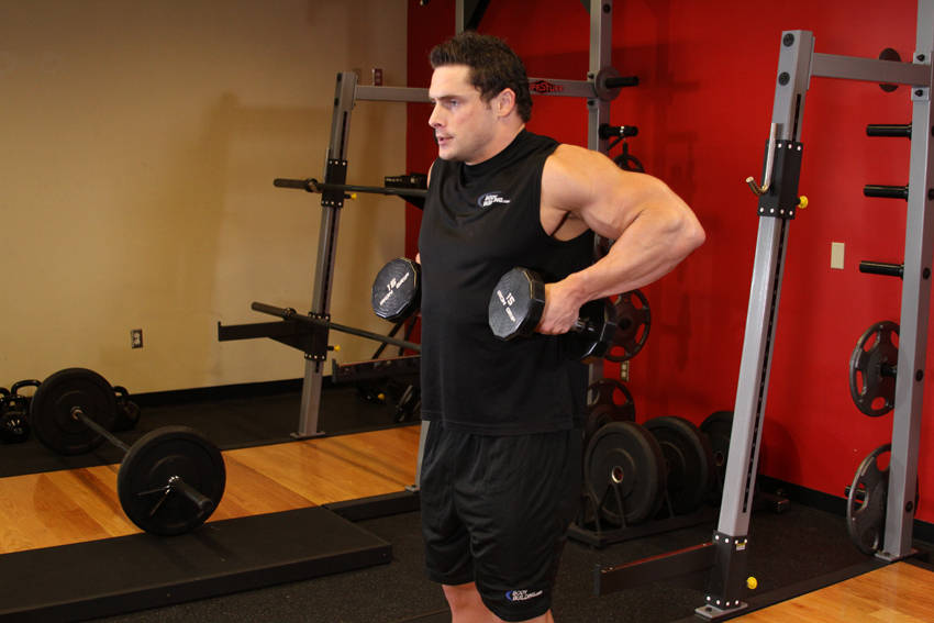 Dumbbell Raise, end position