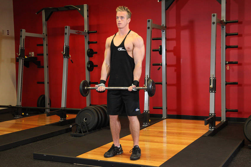 EZ-Bar Curl, start position