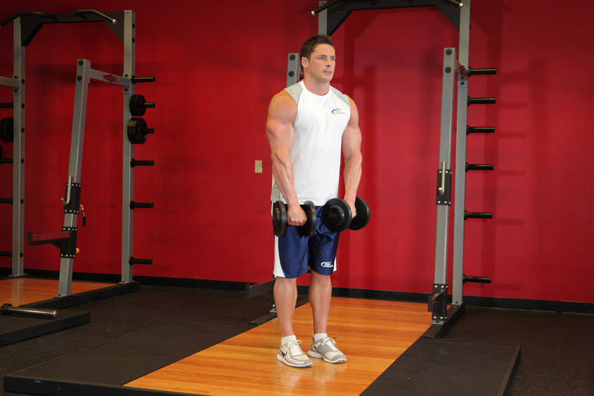 Front Dumbbell Raise, start position