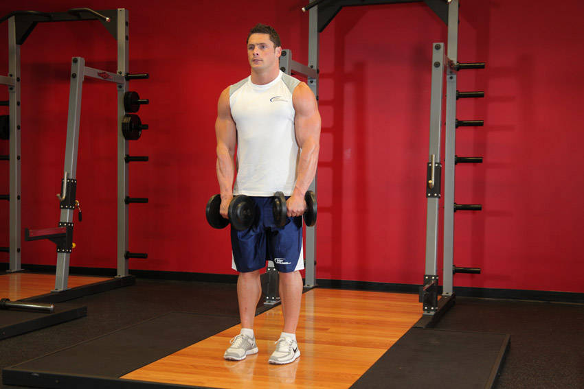 Front Two-Dumbbell Raise, start position