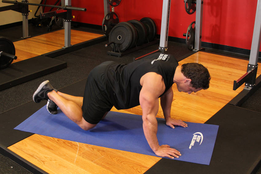 Glute Kickback, start position