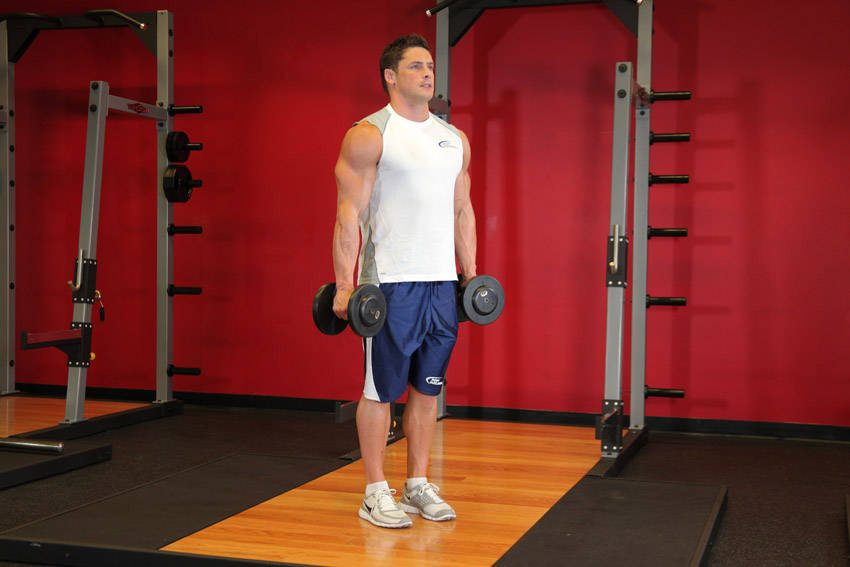 Hammer Curls, start position