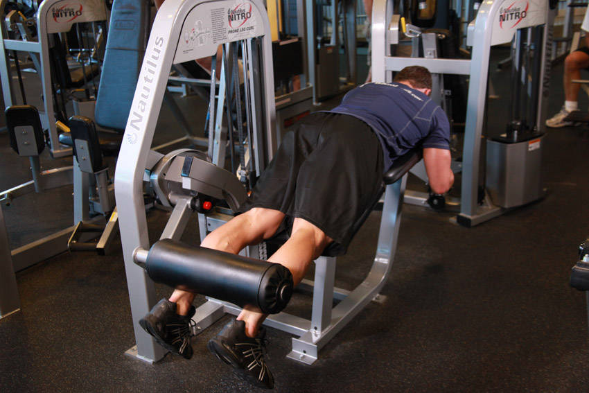 Lying Leg Curls, start position