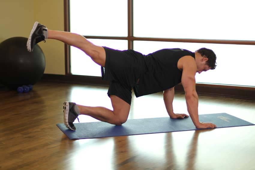 Rear Leg Raises, end position