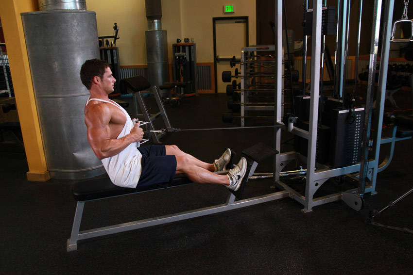 Seated Cable Rows, end position