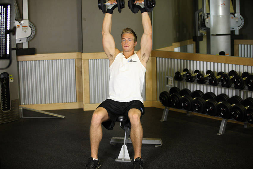 Seated Dumbbell Press, start position