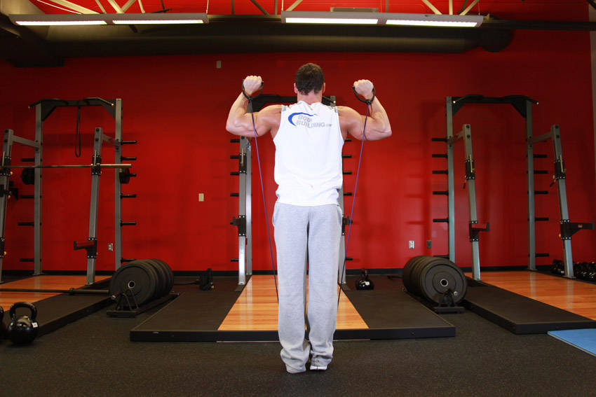 Shoulder Press - With Bands, start position