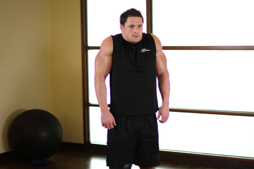 Shoulder Raise, end position