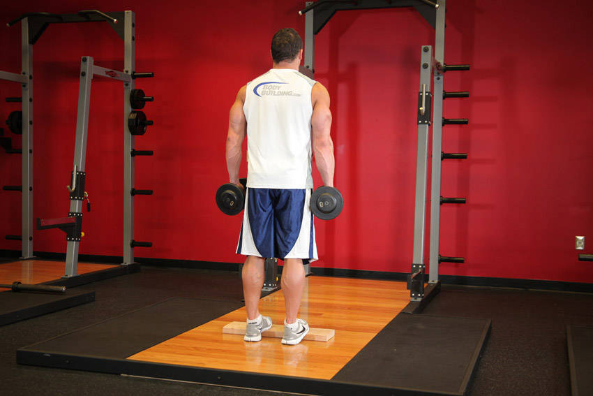 Standing Dumbbell Calf Raise, start position