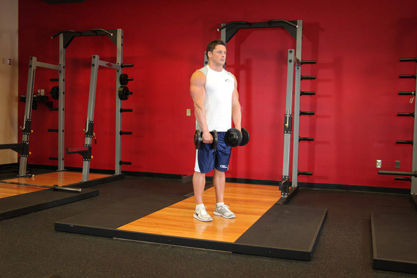 Standing Dumbbell Reverse Curl, start position