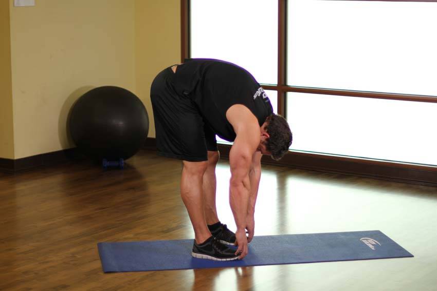 Standing Toe Touches, end position