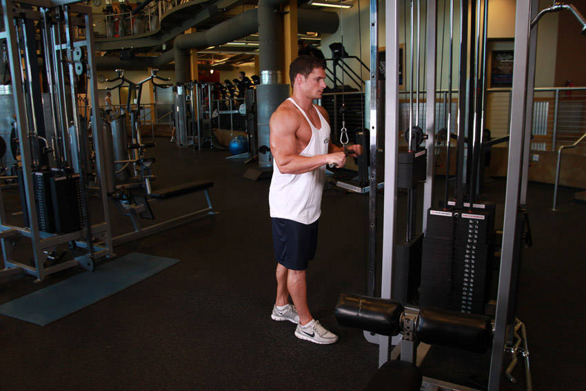 Triceps Pushdown, start position