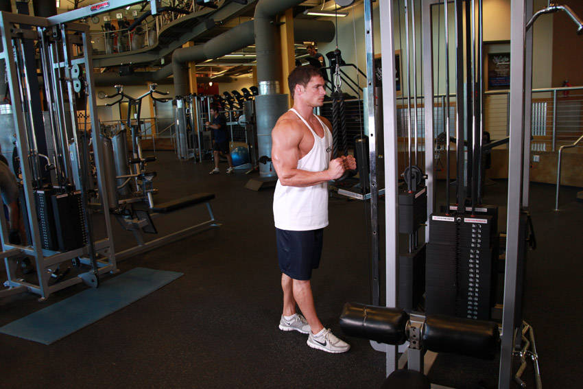 Triceps Pushdown - Rope Attachment, start position