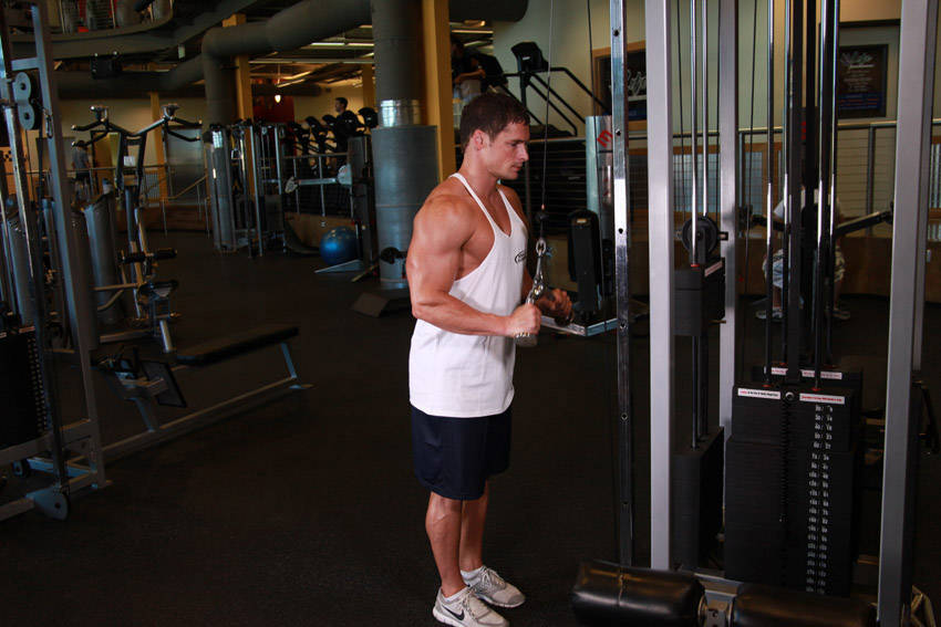 Triceps Pushdown - V-Bar Attachment, start position